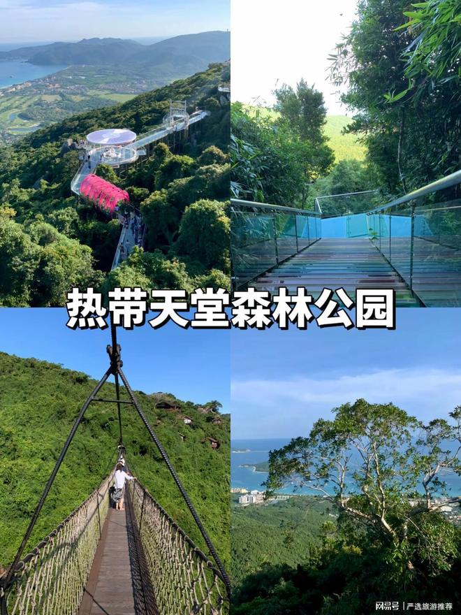 坑+高性价比解锁你的海岛度假新体验开元棋牌三亚导游深度推荐：纯玩无(图7)