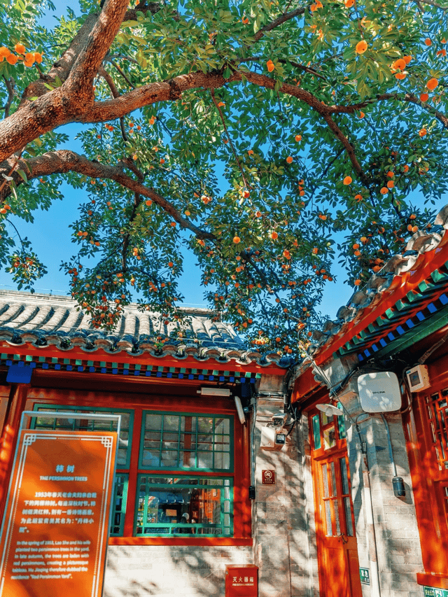 前五让你花小钱办大事班味都给治好了开元ky棋牌打工人狂喜!北京旅行社(图2) 前五让你花小钱办大事班味都给治好了开元ky棋牌打工人狂喜!北京旅行社(图2)