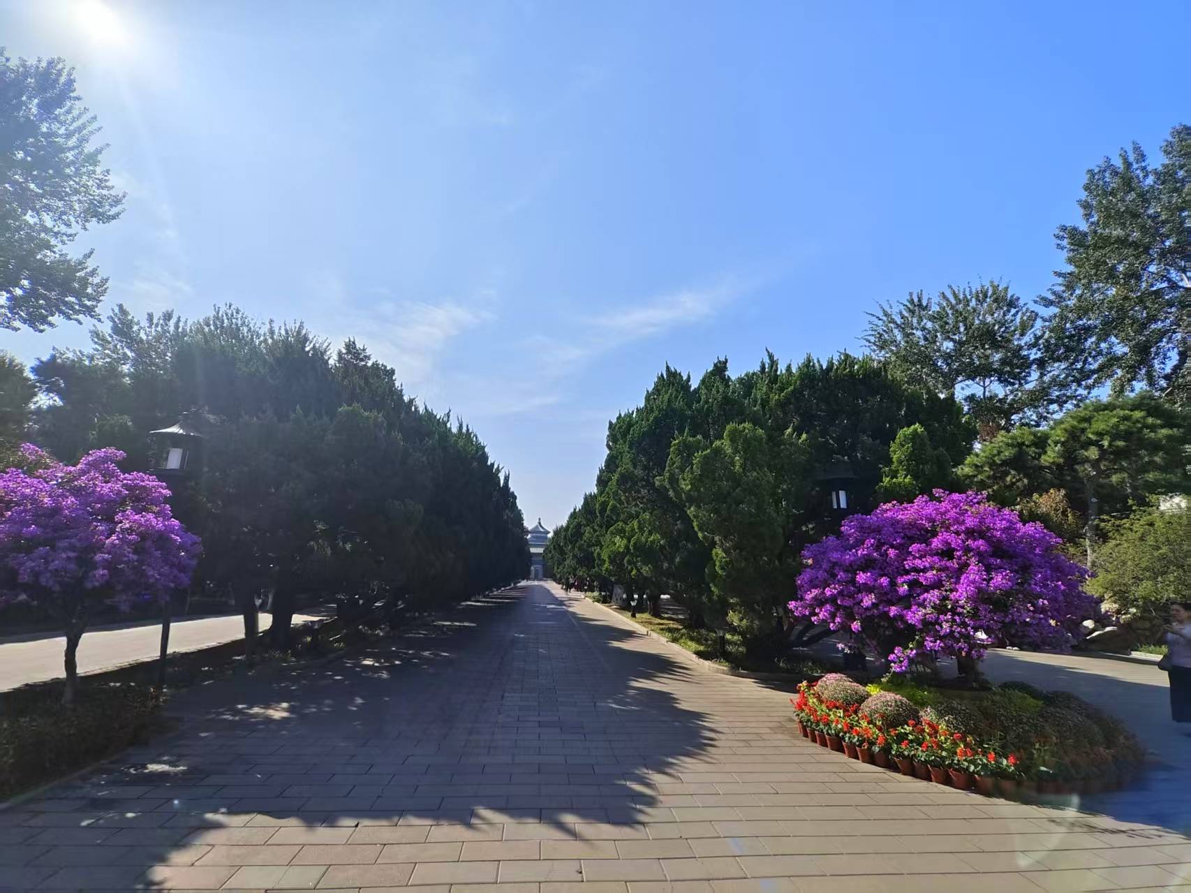 025定制游选对机构少花冤枉钱开元棋牌北京私人定制旅行社：2