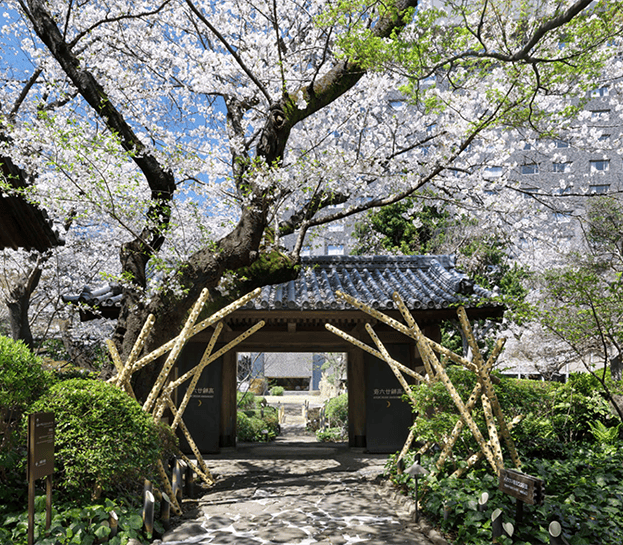 璨新篇：2025年上半年度新增49家臻选新成员开元棋牌网站全球奢华精品酒店（SLH）开启璀(图5)