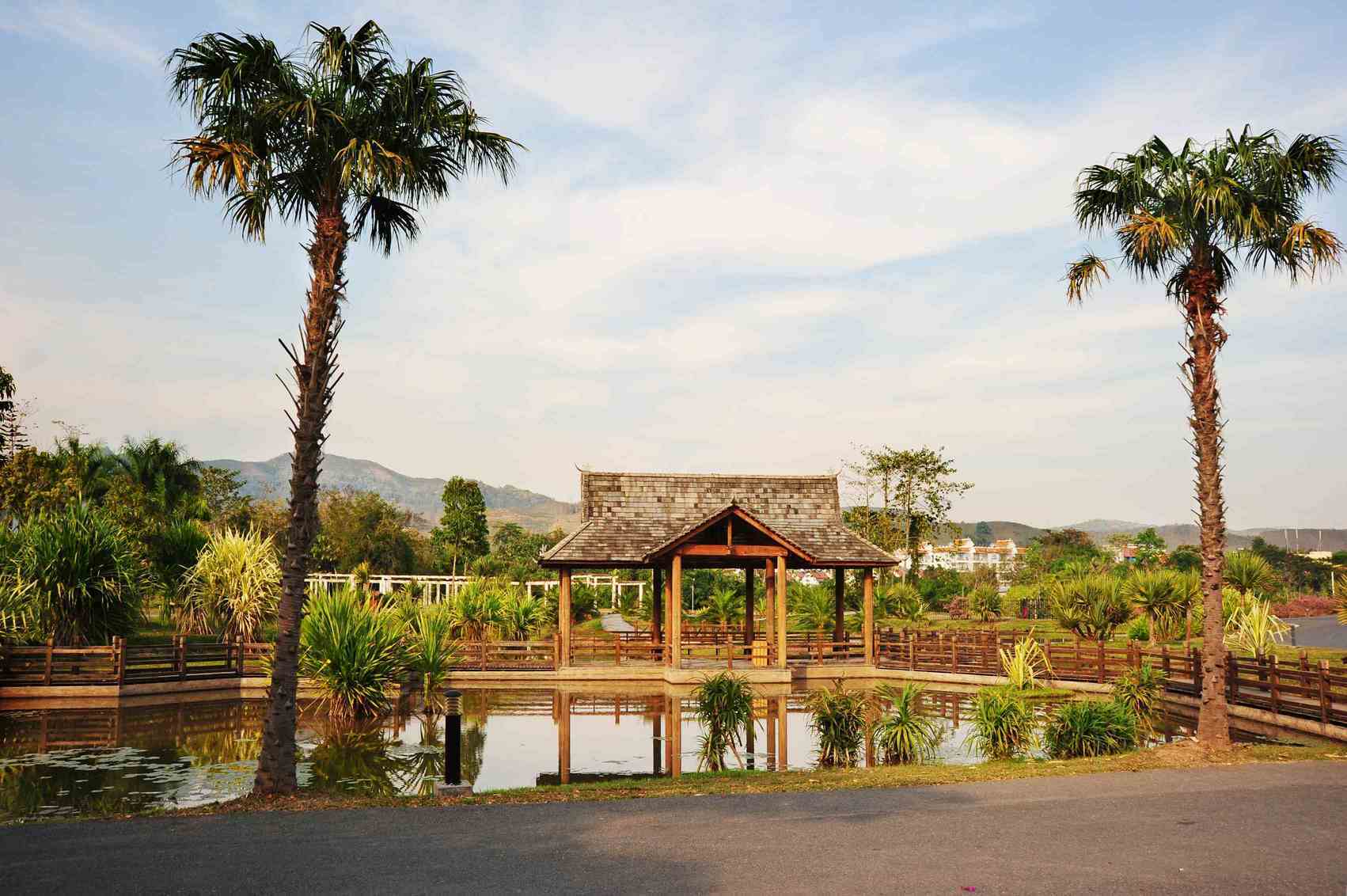 跟着美盈国旅向导吃遍地道傣味不踩坑ky开元棋牌版纳必打卡美食榜单出炉(图4)