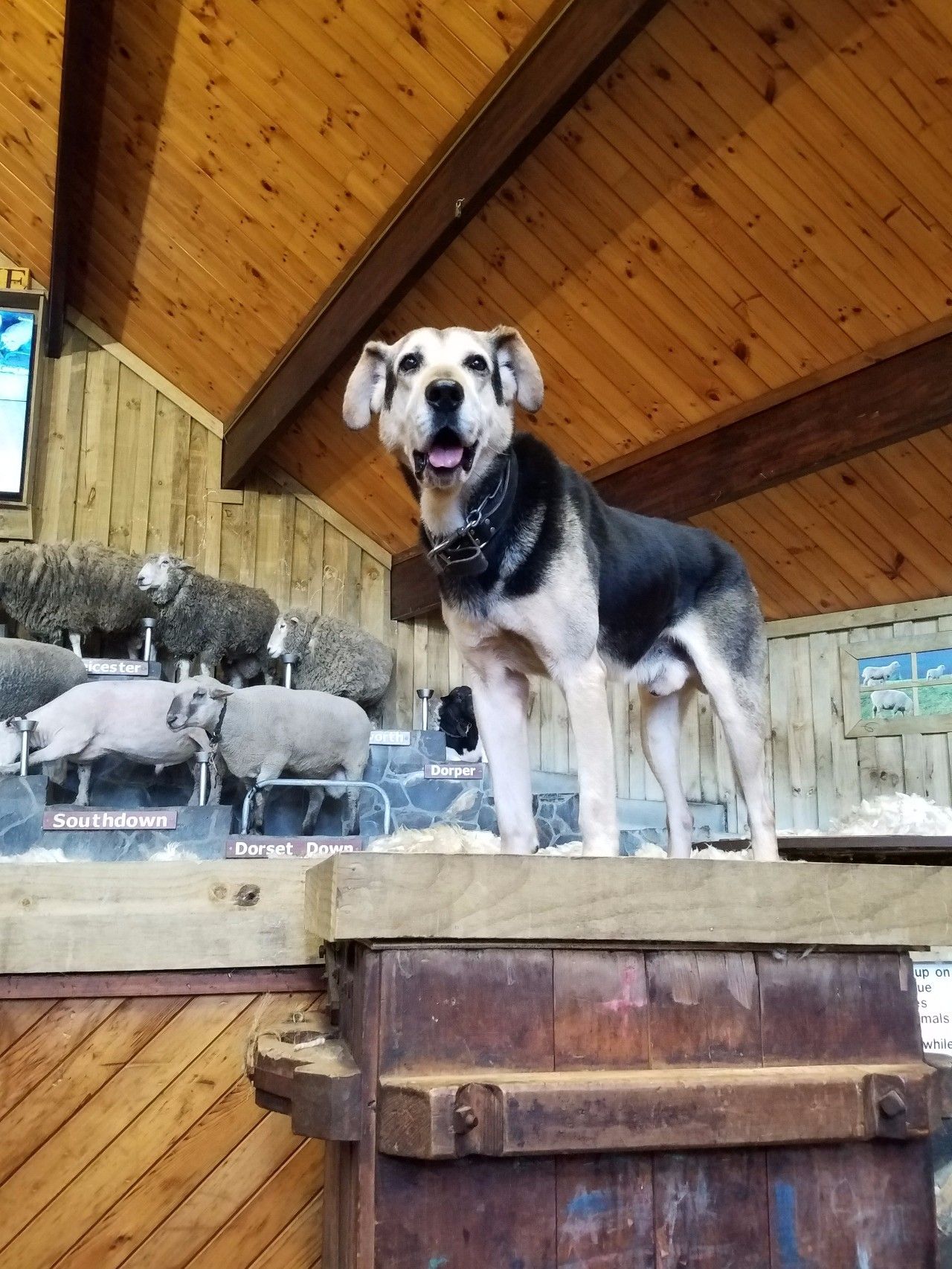 开元棋牌目的地 大笔一挥一片平静的农场上就出现了一整座霍比特人村落(图5)